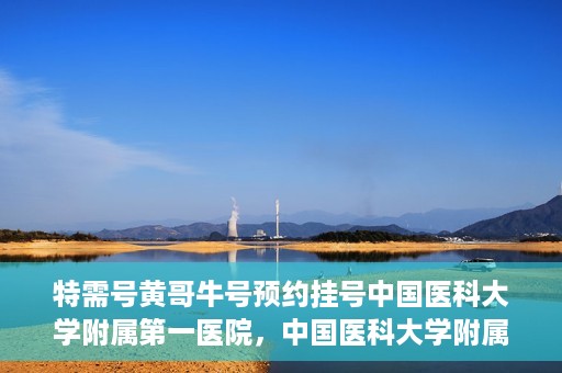 特需号黄哥牛号预约挂号中国医科大学附属第一医院，中国医科大学附属第一医院特需号黄哥牛预约挂号攻略