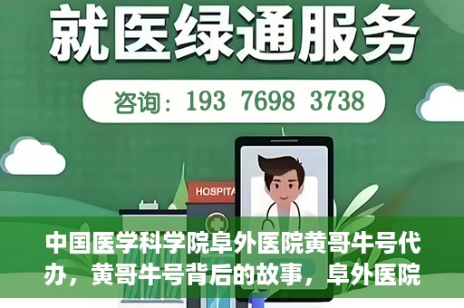 中国医学科学院阜外医院黄哥牛号代办，黄哥牛号背后的故事，阜外医院名医揭秘与医疗服务的深度解读
