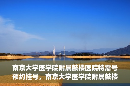 南京大学医学院附属鼓楼医院特需号预约挂号，南京大学医学院附属鼓楼医院特需号预约挂号服务详解