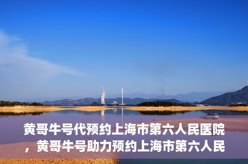 黄哥牛号代预约上海市第六人民医院，黄哥牛号助力预约上海市第六人民医院服务