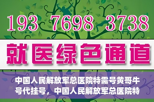 中国人民解放军总医院特需号黄哥牛号代挂号，中国人民解放军总医院特需号专家黄哥挂号攻略，专业代挂号服务解析