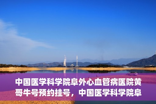 中国医学科学院阜外心血管病医院黄哥牛号预约挂号，中国医学科学院阜外心血管病医院黄哥牛号预约挂号指南，轻松挂号，健康无忧！
