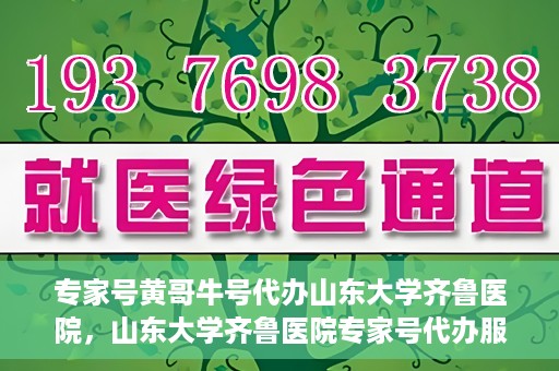 专家号黄哥牛号代办山东大学齐鲁医院，山东大学齐鲁医院专家号代办服务揭秘，黄哥牛号助力就医无忧