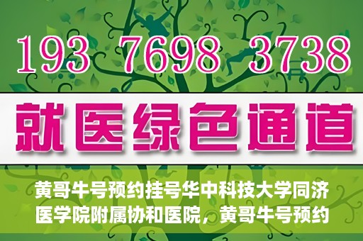黄哥牛号预约挂号华中科技大学同济医学院附属协和医院，黄哥牛号预约挂号，华中科技大学同济医学院附属协和医院就医新体验