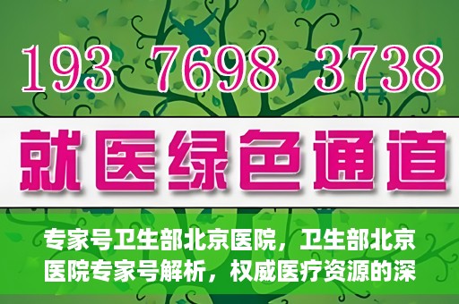 专家号卫生部北京医院，卫生部北京医院专家号解析，权威医疗资源的深度解读