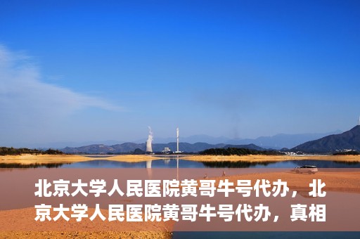 北京大学人民医院黄哥牛号代办，北京大学人民医院黄哥牛号代办，真相揭秘与深度解读