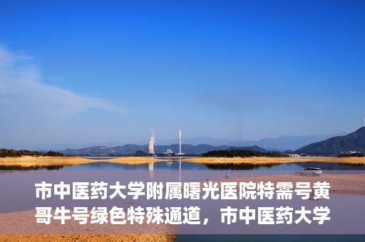 市中医药大学附属曙光医院特需号黄哥牛号绿色特殊通道，市中医药大学附属曙光医院特需号黄哥牛号，绿色特殊通道开启健康之门