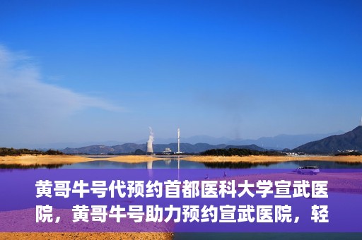 黄哥牛号代预约首都医科大学宣武医院，黄哥牛号助力预约宣武医院，轻松就医体验开启