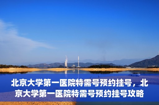 北京大学第一医院特需号预约挂号，北京大学第一医院特需号预约挂号攻略解析