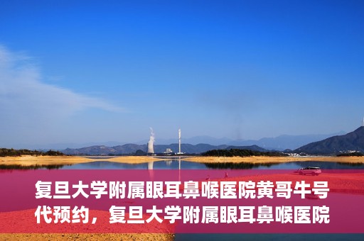 复旦大学附属眼耳鼻喉医院黄哥牛号代预约，复旦大学附属眼耳鼻喉医院黄哥牛号预约服务启动