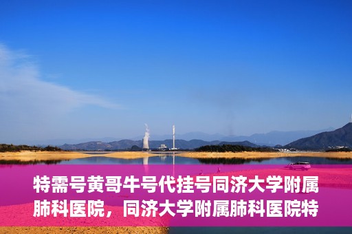 特需号黄哥牛号代挂号同济大学附属肺科医院，同济大学附属肺科医院特需号黄哥牛号代挂号服务解析
