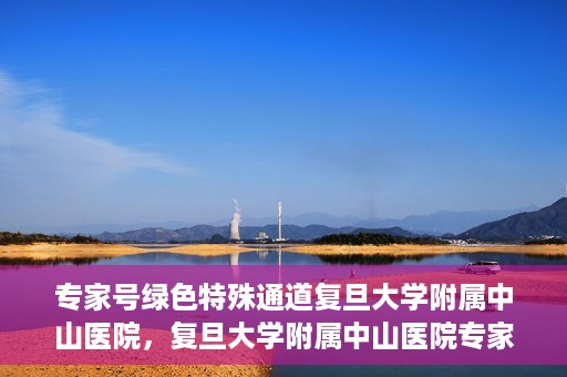 专家号绿色特殊通道复旦大学附属中山医院，复旦大学附属中山医院专家号绿色特殊通道解析