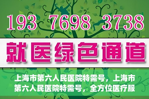上海市第六人民医院特需号，上海市第六人民医院特需号，全方位医疗服务的深度解读