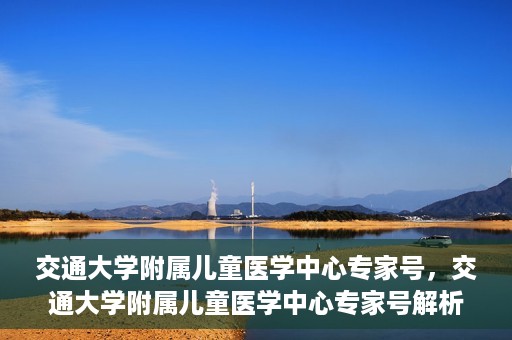 交通大学附属儿童医学中心专家号，交通大学附属儿童医学中心专家号解析，权威专家团队守护儿童健康之路