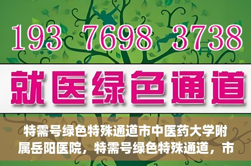特需号绿色特殊通道市中医药大学附属岳阳医院，特需号绿色特殊通道，市中医药大学附属岳阳医院的医疗特色与优势