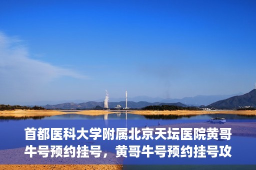 首都医科大学附属北京天坛医院黄哥牛号预约挂号，黄哥牛号预约挂号攻略，北京天坛医院就医指南