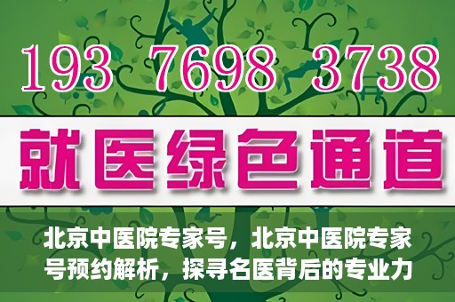 北京中医院专家号，北京中医院专家号预约解析，探寻名医背后的专业力量
