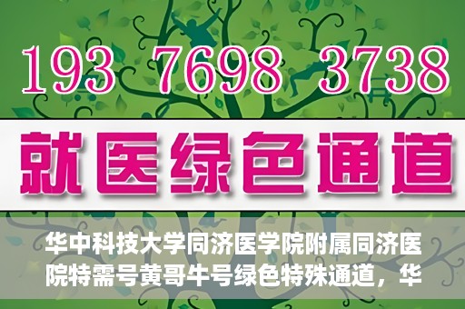 华中科技大学同济医学院附属同济医院特需号黄哥牛号绿色特殊通道，华中科技大学同济医院特需号黄哥牛号绿色就医通道揭秘