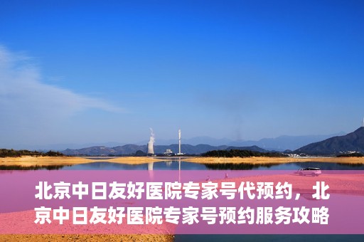 北京中日友好医院专家号代预约，北京中日友好医院专家号预约服务攻略