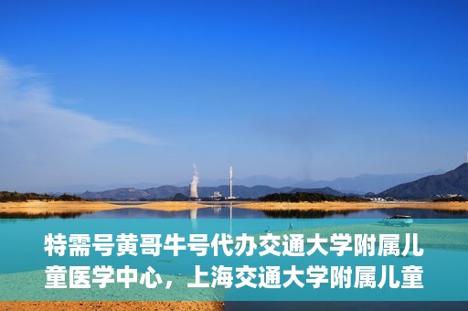 特需号黄哥牛号代办交通大学附属儿童医学中心，上海交通大学附属儿童医学中心特需号代办服务黄哥牛号一站式服务体验