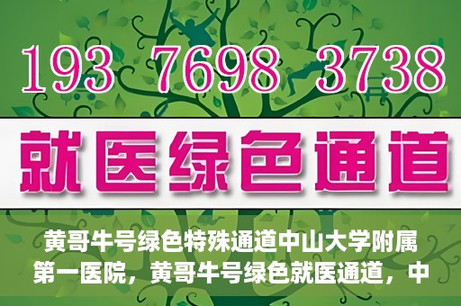 黄哥牛号绿色特殊通道中山大学附属第一医院，黄哥牛号绿色就医通道，中山大学附属第一医院的实践探索
