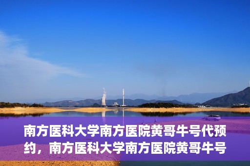 南方医科大学南方医院黄哥牛号代预约，南方医科大学南方医院黄哥牛号预约服务解析