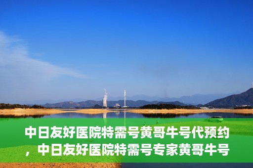 中日友好医院特需号黄哥牛号代预约，中日友好医院特需号专家黄哥牛号预约服务解析
