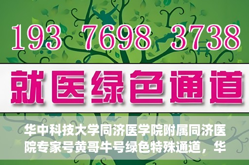 华中科技大学同济医学院附属同济医院专家号黄哥牛号绿色特殊通道，华中科技大学同济医院专家号黄哥牛号，绿色特殊通道揭秘