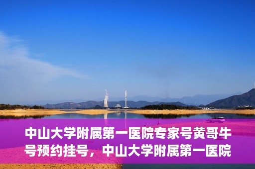 中山大学附属第一医院专家号黄哥牛号预约挂号，中山大学附属第一医院专家黄哥牛号预约攻略，一站式挂号解析