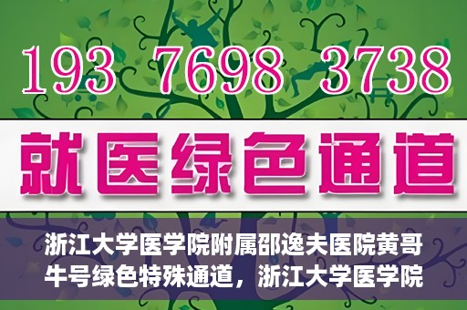 浙江大学医学院附属邵逸夫医院黄哥牛号绿色特殊通道，浙江大学医学院附属邵逸夫医院绿色特殊通道，黄哥牛号的传奇之路
