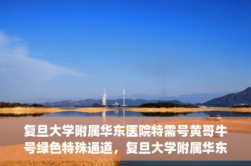复旦大学附属华东医院特需号黄哥牛号绿色特殊通道，复旦大学附属华东医院特需号黄哥牛号，绿色通道的独家体验