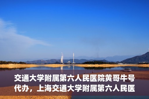 交通大学附属第六人民医院黄哥牛号代办，上海交通大学附属第六人民医院黄哥牛号代办服务解析