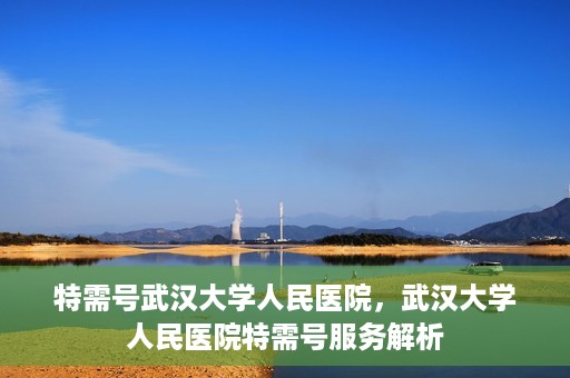 特需号武汉大学人民医院，武汉大学人民医院特需号服务解析