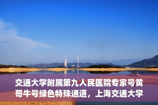 交通大学附属第九人民医院专家号黄哥牛号绿色特殊通道，上海交通大学附属第九人民医院专家号黄哥牛号，绿色特殊通道解析
