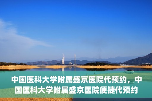 中国医科大学附属盛京医院代预约，中国医科大学附属盛京医院便捷代预约服务解析