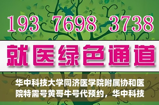 华中科技大学同济医学院附属协和医院特需号黄哥牛号代预约，华中科技大学同济医学院附属协和医院特需号预约服务解析，黄哥牛号预约详解