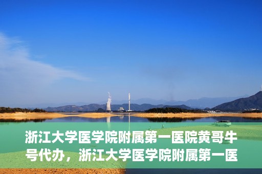 浙江大学医学院附属第一医院黄哥牛号代办，浙江大学医学院附属第一医院黄哥牛号业务代办全攻略