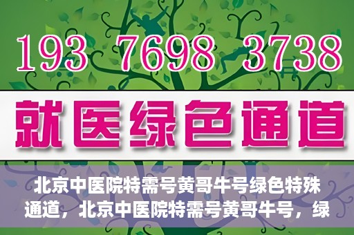 北京中医院特需号黄哥牛号绿色特殊通道，北京中医院特需号黄哥牛号，绿色就医通道揭秘