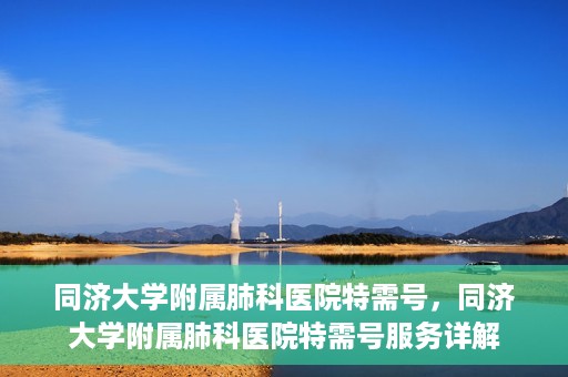 同济大学附属肺科医院特需号，同济大学附属肺科医院特需号服务详解
