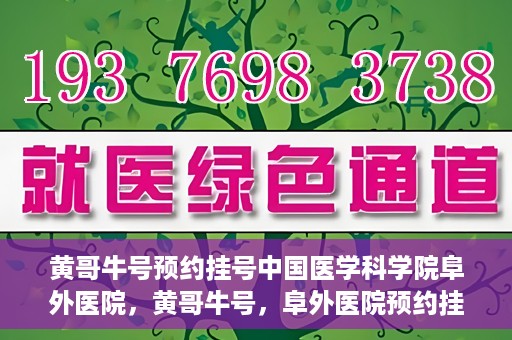 黄哥牛号预约挂号中国医学科学院阜外医院，黄哥牛号，阜外医院预约挂号服务启动，中国医学科学院挂号新体验