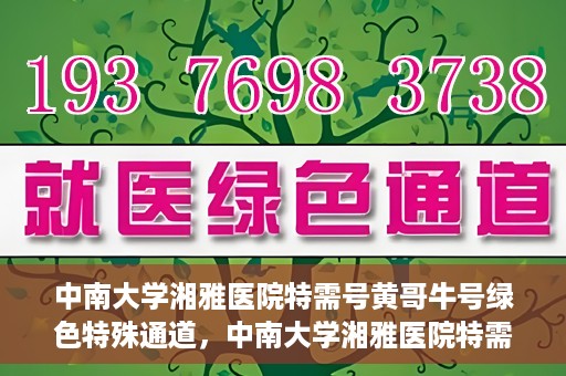 中南大学湘雅医院特需号黄哥牛号绿色特殊通道，中南大学湘雅医院特需号黄哥牛号，绿色特殊通道开启健康之门