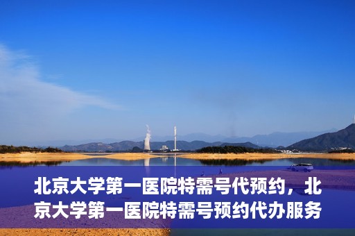 北京大学第一医院特需号代预约，北京大学第一医院特需号预约代办服务解析