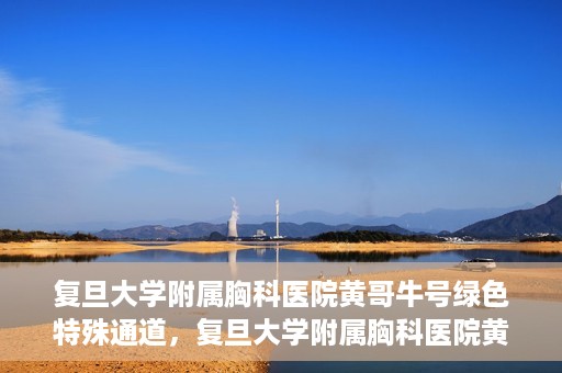 复旦大学附属胸科医院黄哥牛号绿色特殊通道，复旦大学附属胸科医院黄哥牛号，绿色特殊通道开启健康之门