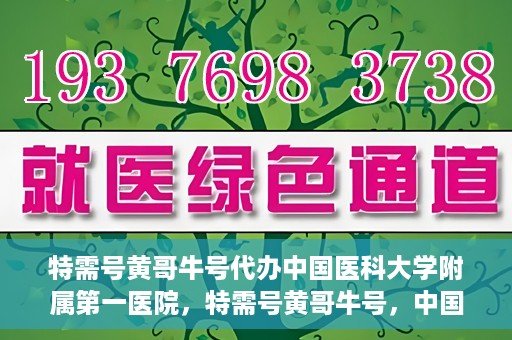 特需号黄哥牛号代办中国医科大学附属第一医院，特需号黄哥牛号，中国医科大学附属第一医院代办服务详解