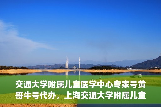 交通大学附属儿童医学中心专家号黄哥牛号代办，上海交通大学附属儿童医学中心专家号代办服务，黄哥牛号助您轻松预约专家号