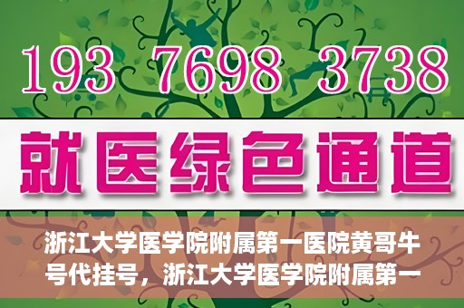 浙江大学医学院附属第一医院黄哥牛号代挂号，浙江大学医学院附属第一医院黄哥牛号代挂号服务解析