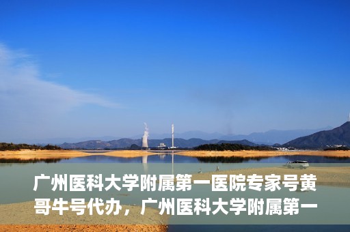 广州医科大学附属第一医院专家号黄哥牛号代办，广州医科大学附属第一医院专家号代办揭秘，黄哥牛号背后的故事