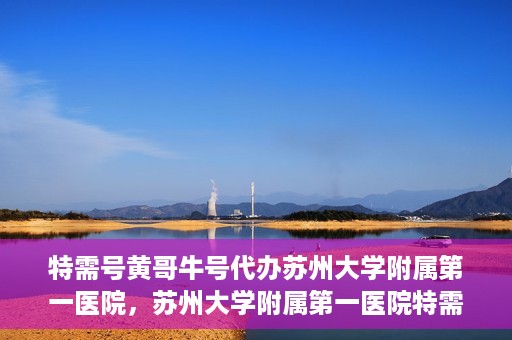 特需号黄哥牛号代办苏州大学附属第一医院，苏州大学附属第一医院特需号黄哥牛号代办服务详解