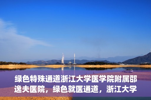 绿色特殊通道浙江大学医学院附属邵逸夫医院，绿色就医通道，浙江大学医学院附属邵逸夫医院的探索与实践