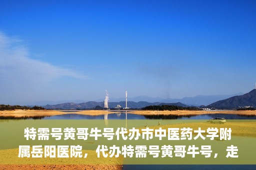 特需号黄哥牛号代办市中医药大学附属岳阳医院，代办特需号黄哥牛号，走进岳阳医院的中医药魅力